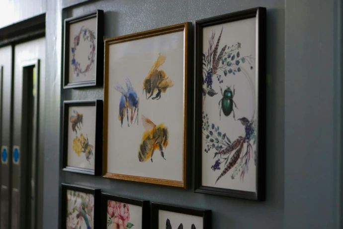 Framed artwork of bees and insects on wall.